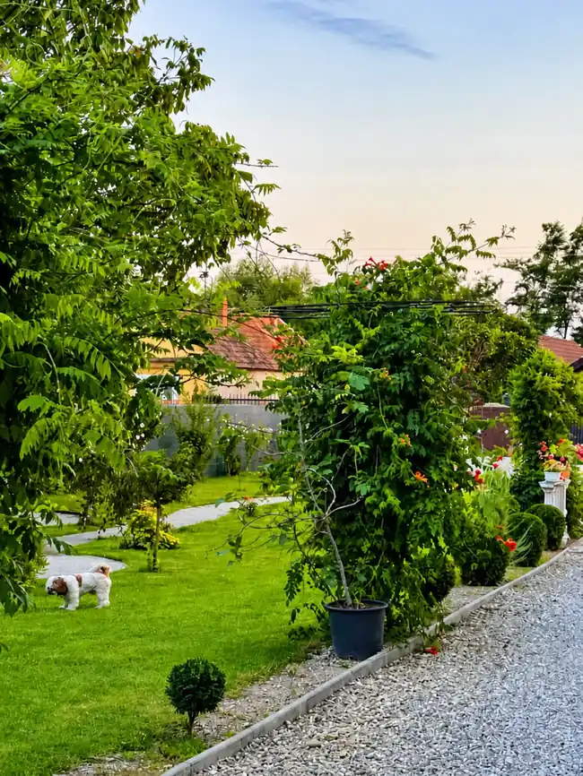 Grădină și spațiu de relaxare în aer liber — 3:2